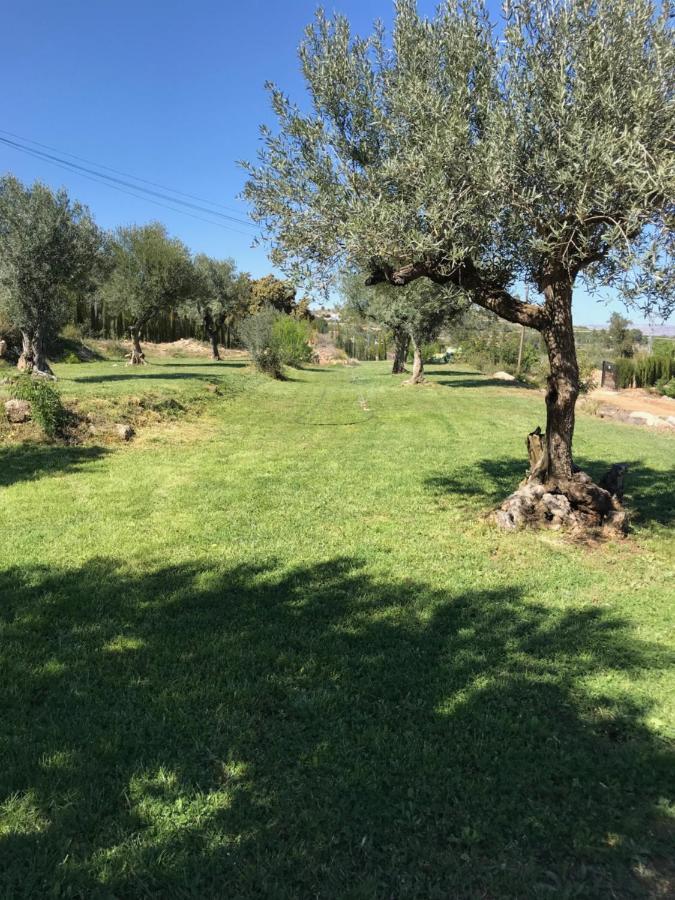 Oasis Country Park Ξενοδοχείο Rugat Εξωτερικό φωτογραφία